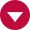 Circle Arrow Icon